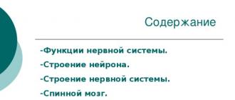 Презентация по биологии